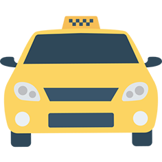 Passenger Insurance Icon